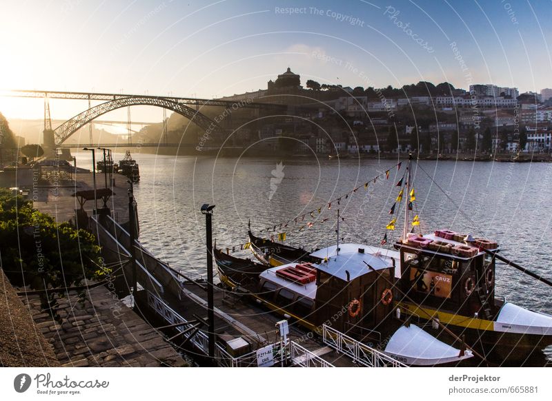 Porto am Morgen Hafenstadt Stadtzentrum Altstadt Skyline Menschenleer Brücke Sehenswürdigkeit Wahrzeichen Denkmal Schifffahrt Binnenschifffahrt Kreuzfahrt