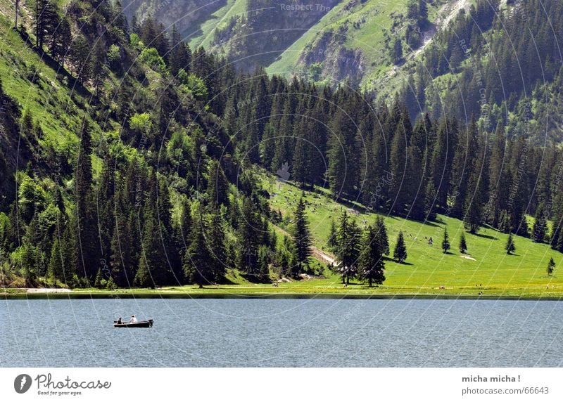 Angeln und Fischen See kalt grün ruhig Einsamkeit Wald Wiese Tanne Wasserfahrzeug Motorboot Sommer Berge u. Gebirge blau Tal Stein Felsen