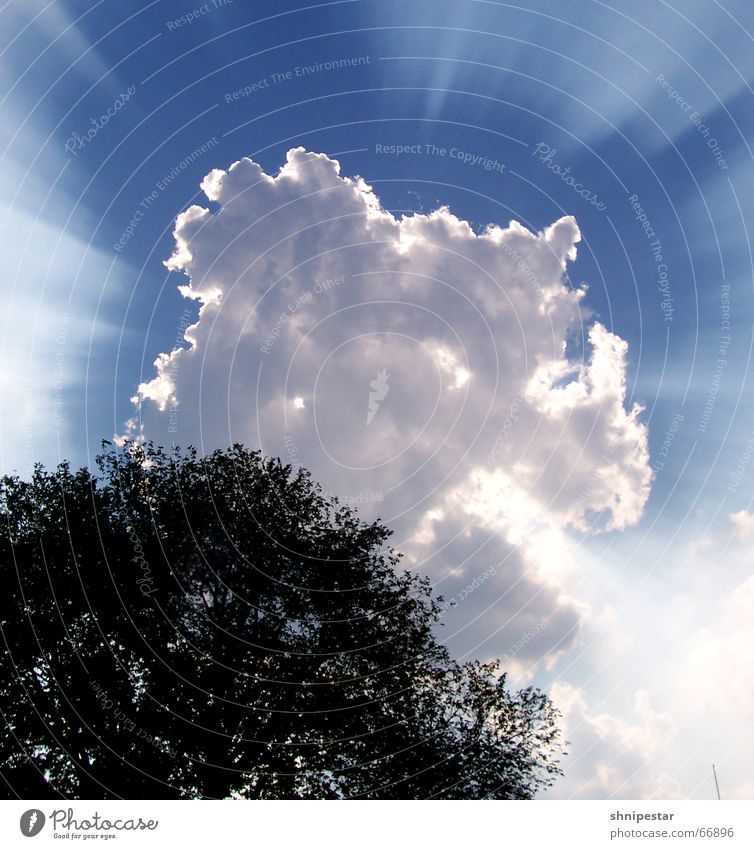 Strahlemann 5000 Wolken Sommer Himmel Baum fantastisch Hagen Physik Erholung genießen attraktiv blau sky sky3 Beleuchtung Sonne reflektion atomlicht abstrakt