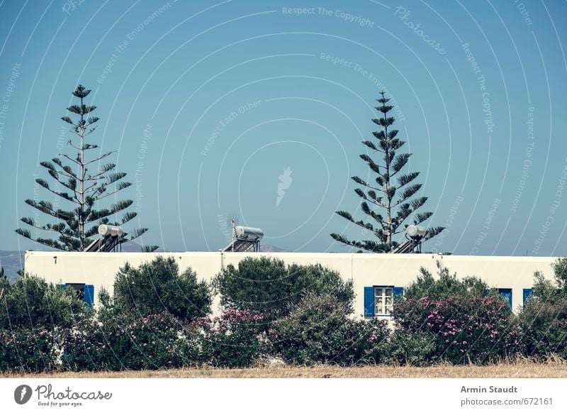 Griechischer Garten mit Haus Ferien & Urlaub & Reisen Sommer Natur Wolkenloser Himmel Schönes Wetter Pflanze Baum exotisch Naxos Griechenland Kleinstadt Mauer