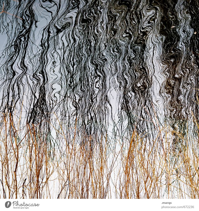Le Frisur elegant Stil Natur Urelemente Wasser Sträucher außergewöhnlich nass Stimmung ästhetisch Surrealismus Irritation Wellenlinie Hintergrundbild Farbfoto