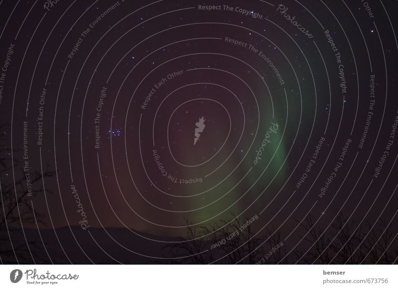 Aurora Borealis / Polarlicht aufgefächert Abenteuer Expedition Winter Wissenschaften Studium Raumfahrt Nachthimmel Stern Nordlicht erleben Farbfoto