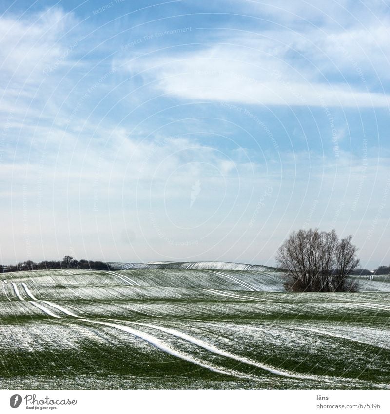 Winterkleid Umwelt Natur Landschaft Pflanze Erde Himmel Wolken Eis Frost Schnee Baum Feld Hügel Linie blau grün weiß Spuren Farbfoto Menschenleer