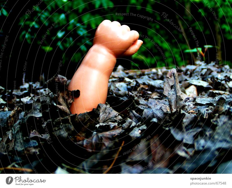 Lost Hand Faust Spielzeug beerdigen Blatt verrotten verloren Einsamkeit Wald dunkel Puppe puppenarm Arme Hilfsbedürftig