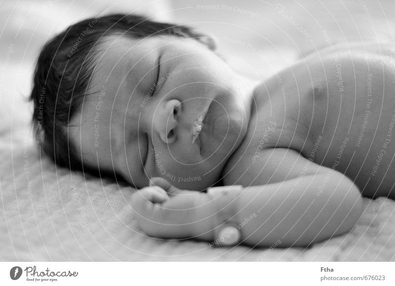 28 Stunden später Mensch maskulin Baby Körper Kopf Brust 1 0-12 Monate schlafen schön niedlich weich grau Zufriedenheit Geborgenheit Kindheit neugeboren Geburt
