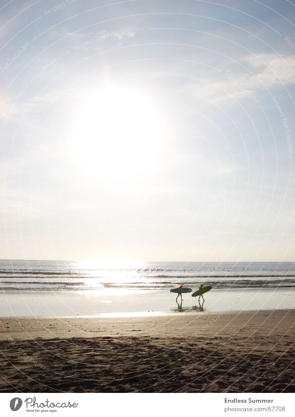 The Endless Summer Strand Meer Gegenlicht Mittelamerika Sonnenuntergang Erholung Ferien & Urlaub & Reisen Wasser dudes Freiheit Surfen