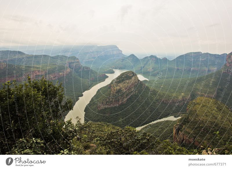 Blyde River Canyon Südafrika Landschaft grün Schlucht Fluss Schlangenlinie Baum Wolken Wolkendecke blyde river canyon Afrika Farbfoto Gedeckte Farben