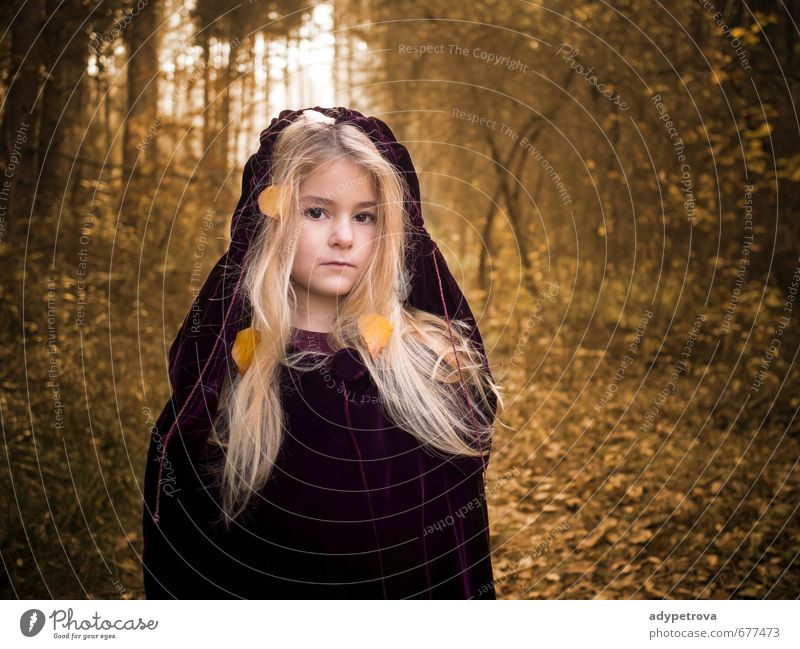 Herbst Mädchen Mensch Kind Körper Kopf Haare & Frisuren Gesicht Auge Nase Mund Lippen 1 3-8 Jahre Kindheit Umwelt Natur Landschaft Sonne Baum Gras Blatt Park