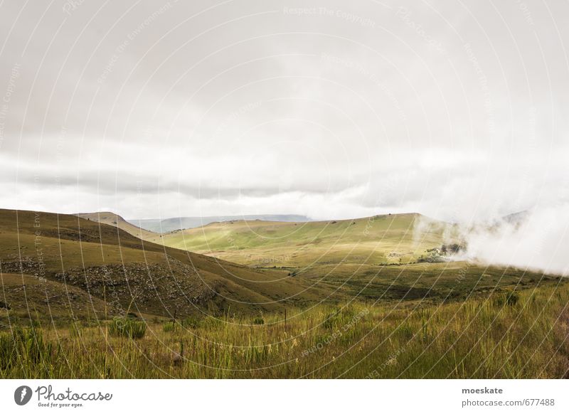 Südafrika Drakensberge Landschaft grün Wiese Berge u. Gebirge Hochebene Afrika Wolken Farbfoto Gedeckte Farben Außenaufnahme Menschenleer Textfreiraum oben