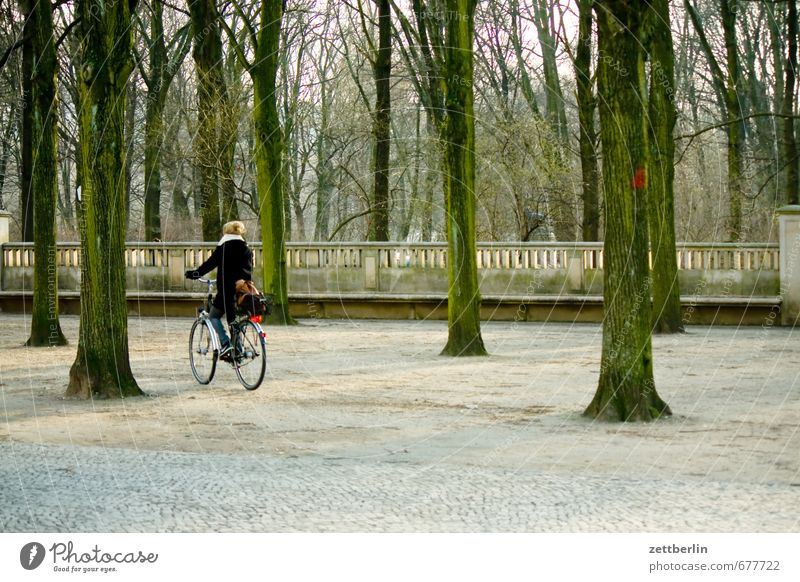 Brandenburger Tor Architektur Berlin Hauptstadt Stadt Stadtleben Wahrzeichen Wald Baum Laubbaum Frühling Fahrrad Fahrradfahren Fahrradtour Wege & Pfade