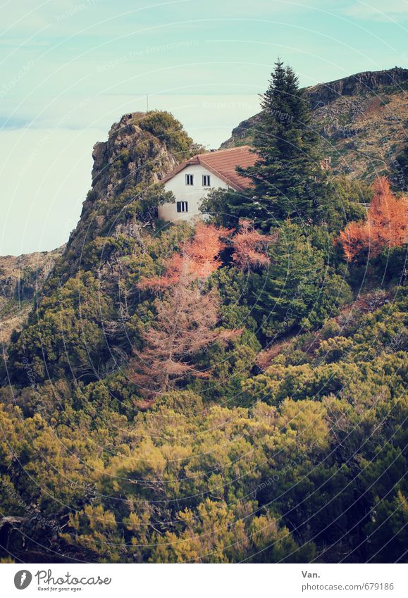 hoch hinaus Natur Landschaft Pflanze Himmel Wolken Herbst Baum Sträucher Wald Felsen Berge u. Gebirge Haus grün Einsamkeit Farbfoto mehrfarbig Außenaufnahme