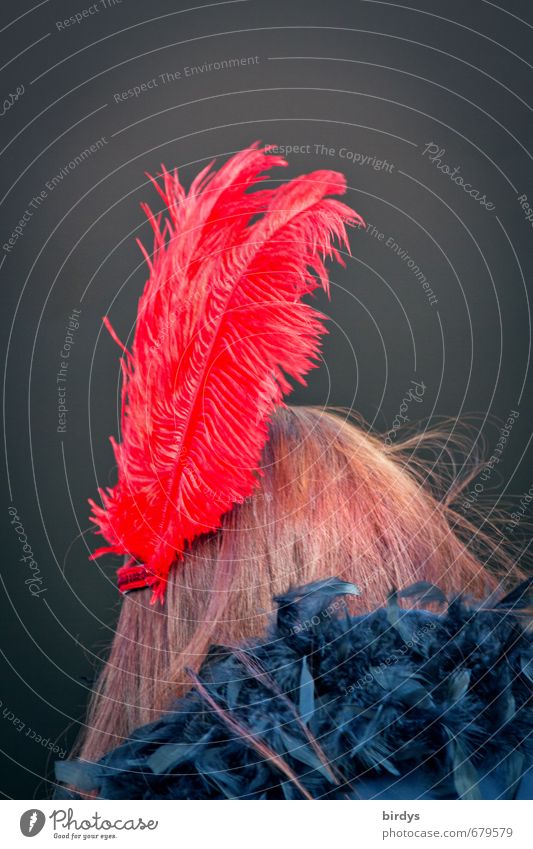 rausgeputzt Stil feminin Junge Frau Jugendliche Kopf Haare & Frisuren 1 Mensch Mode Federschmuck Boa Accessoire brünett leuchten ästhetisch außergewöhnlich