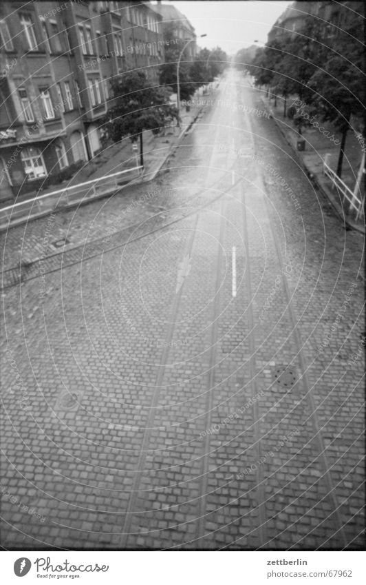 Sommerende Regen Kopfsteinpflaster nass leer Straßenbahn Gleise glänzend