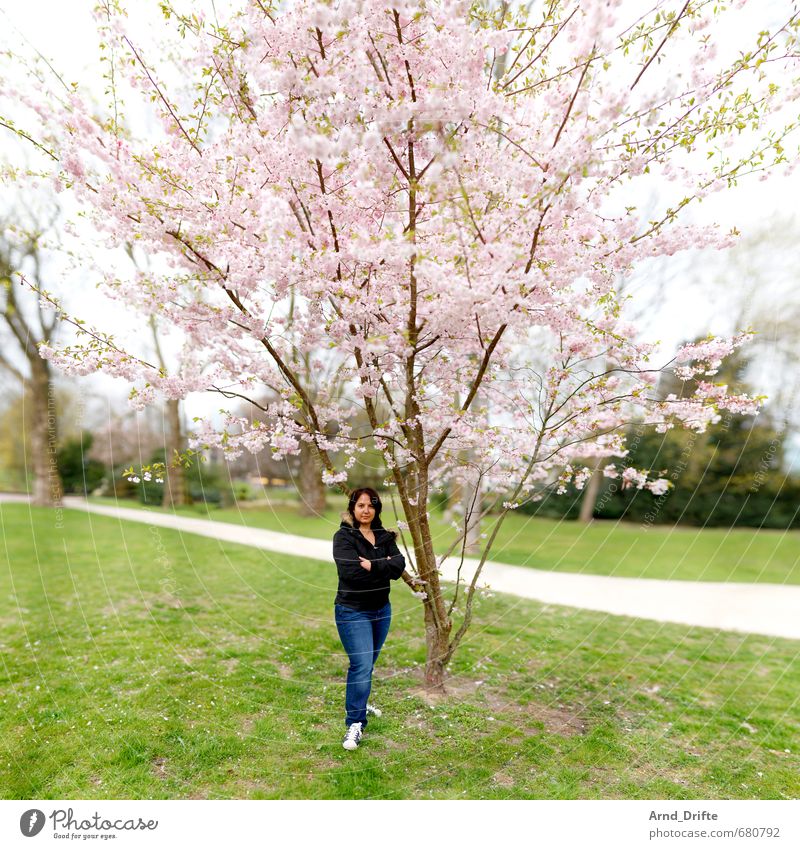 ::200:: Kirschblütentraum feminin Frau Erwachsene 1 Mensch 30-45 Jahre Pflanze Schönes Wetter Baum Kirschbaum Park Wiese frisch grün rosa Zufriedenheit brenizer