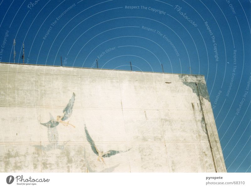 Engelchen flieg ... Gebäude Wand Fassade zerbröckelt Griechenland Heraklion Ferien & Urlaub & Reisen Gemälde Himmel blau alt