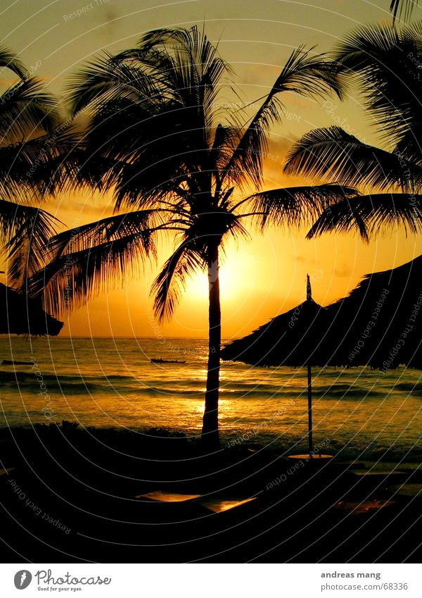 Sonnenaufgang am Indischen Ozean Palme Meer Liege Dach Sonnenschirm Wellen Erholung Abenddämmerung Morgen Sonnenuntergang sun Treppe rise sunrise sea ocean
