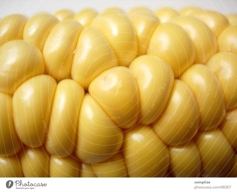 space-design organisch gelb glänzend Maiskolben Kolben Maisfeld Feld Küche Vitamin Restaurant fein sprudelnd rein ökologisch Ernährung Lebensmittel Zutaten