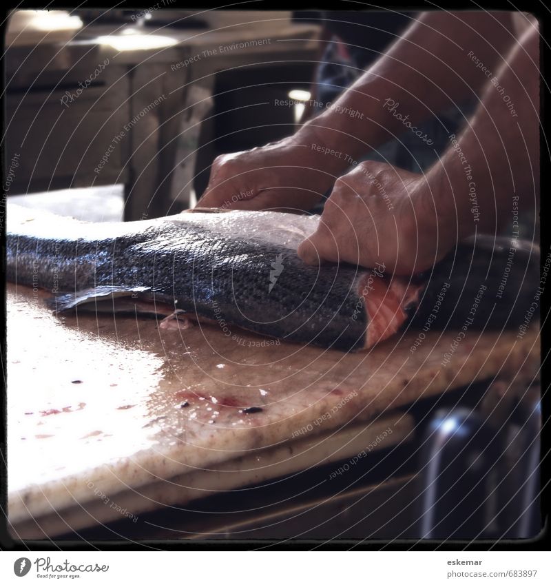 tranchieren Lebensmittel Fisch Lachs Ernährung Lifestyle Küche Koch verkaufen frisch Teilung aufschneiden Messer ausnehmen kochen & garen Essen Blut