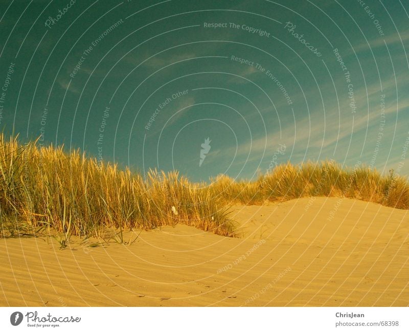Düne Strand bearbeitet Borkum Stranddüne Sand sandgras strandgras Himmel Schutz Nordsee