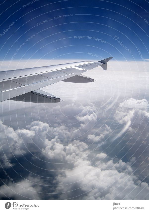 Sonnig bei -32 °C kalt Wolken weiß Flugzeug glänzend technisch Ferien & Urlaub & Reisen Himmel blau Klarheit Flügel Metall Freiheit Blendenfleck