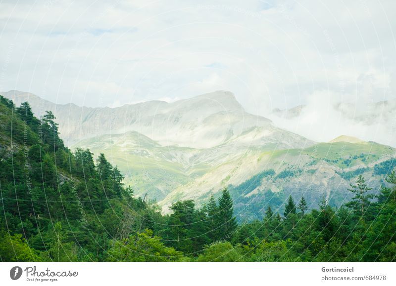 Le Vernet Umwelt Natur Landschaft Wolken Sommer Baum Wald Berge u. Gebirge Gipfel natürlich schön grün Pyrenäen Südfrankreich Panorama (Aussicht) Farbfoto