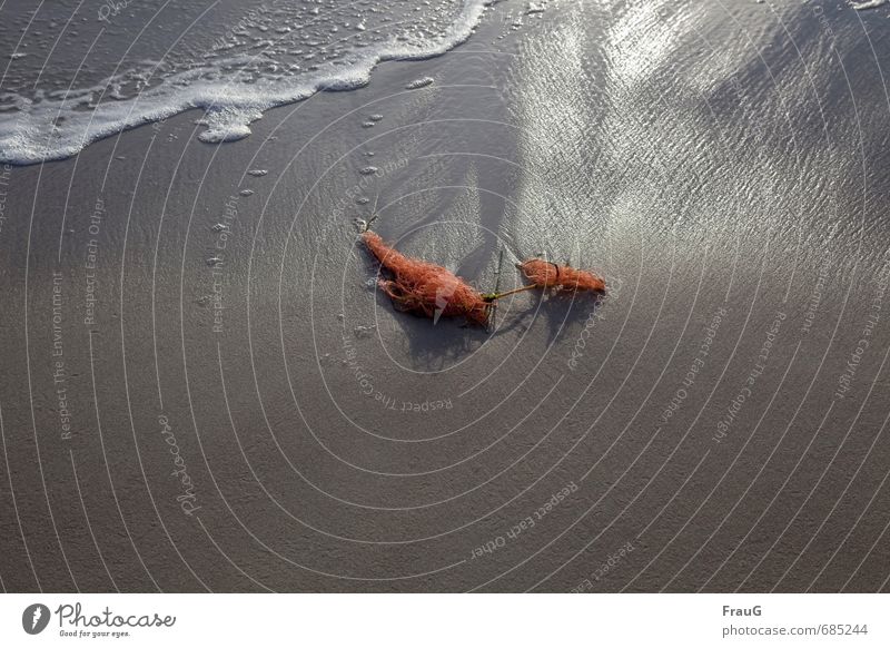 es war einmal... Natur Wasser Sonnenlicht Strand Ostsee Netz Sand glänzend nass orange Rest Schaum Strukturen & Formen Menschenleer Farbfoto Außenaufnahme