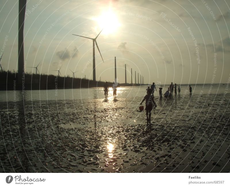 Mitten im Nirgendwo Taiwan Asien Strand Wattenmeer Sonnenuntergang Romantik Physik Ferne sparziergang Wärme