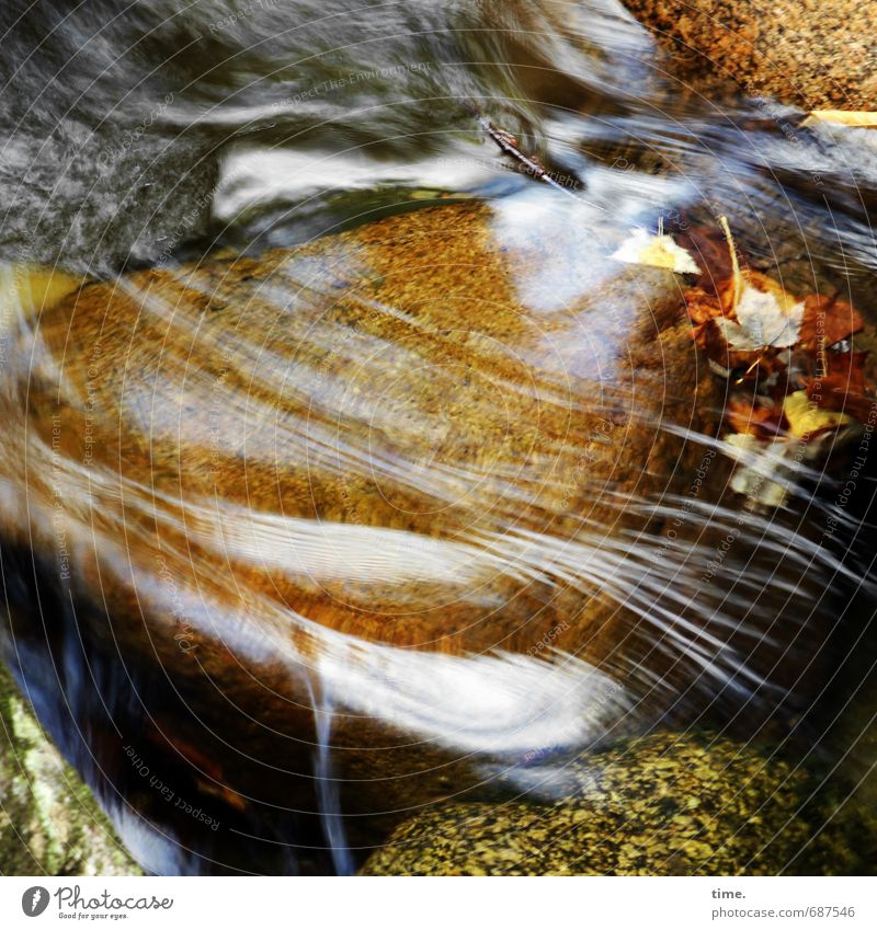 kost.bar | Lebenslinien Umwelt Natur Pflanze Urelemente Wasser Herbst Blatt Felsen Berge u. Gebirge Wasserfall Bach Stein Linie Bewegung authentisch Reinheit