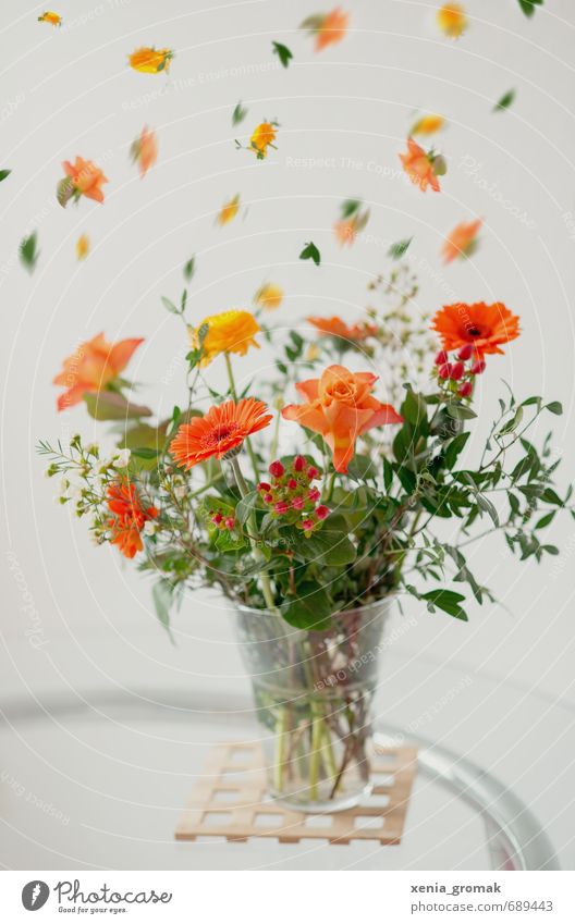 Blumenstrauß verblüht dehydrieren gelb orange Pflanze schön Gerbera Tisch Sommerblumen Frühling Luftverkehr zart Farbfoto Innenaufnahme Nahaufnahme abstrakt