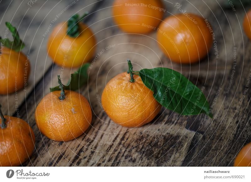 Frische Mandarinen Lebensmittel Frucht Orange Marmelade Bioprodukte Vegetarische Ernährung Diät Blatt Duft frisch saftig schön viele grün Gesundheit madnarine