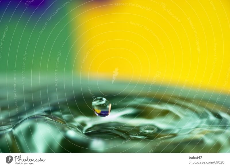drop Wassertropfen Hintergrundbild grün gelb Makroaufnahme einzeln tröpfchen splash troft