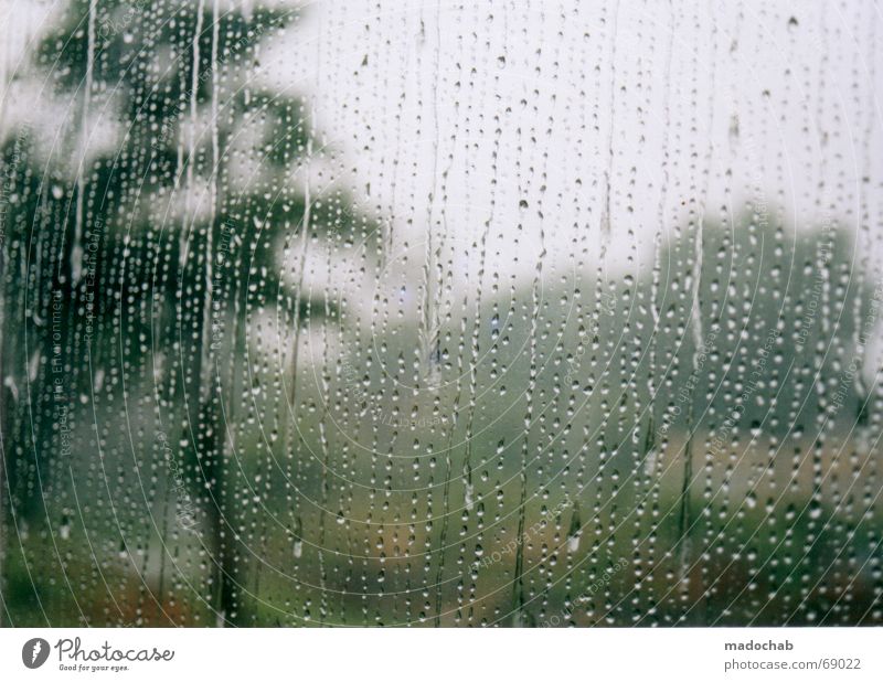 BEI UNS REGNETS schlechtes Wetter Baum Durchblick Trauer trist Gewitter Verzweiflung Regen Fensterscheibe Niederschlag zu hause bleiben Unschärfe madochab