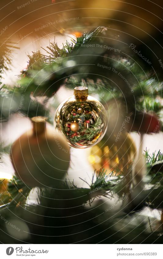 Weihnachtskugel Feste & Feiern Weihnachten & Advent Winter Baum einzigartig entdecken geheimnisvoll Kitsch Mittelpunkt Nostalgie schön Tradition Wert