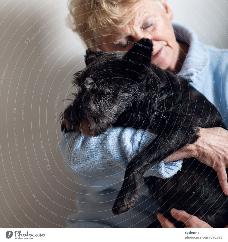 Tierliebe harmonisch Mensch Weiblicher Senior Frau Freundschaft Leben 45-60 Jahre Erwachsene Hund Partnerschaft Gefühle Kommunizieren Liebe ruhig Schutz