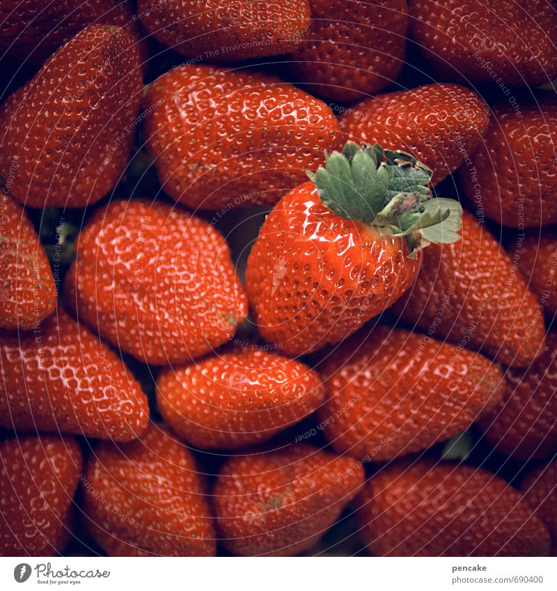 unzüchtig Frucht Ernährung Umwelt Frühling Zeichen Aggression Billig Kitsch rot Klima Handel Sinnesorgane Erdbeeren Güterverkehr & Logistik künstlich reif