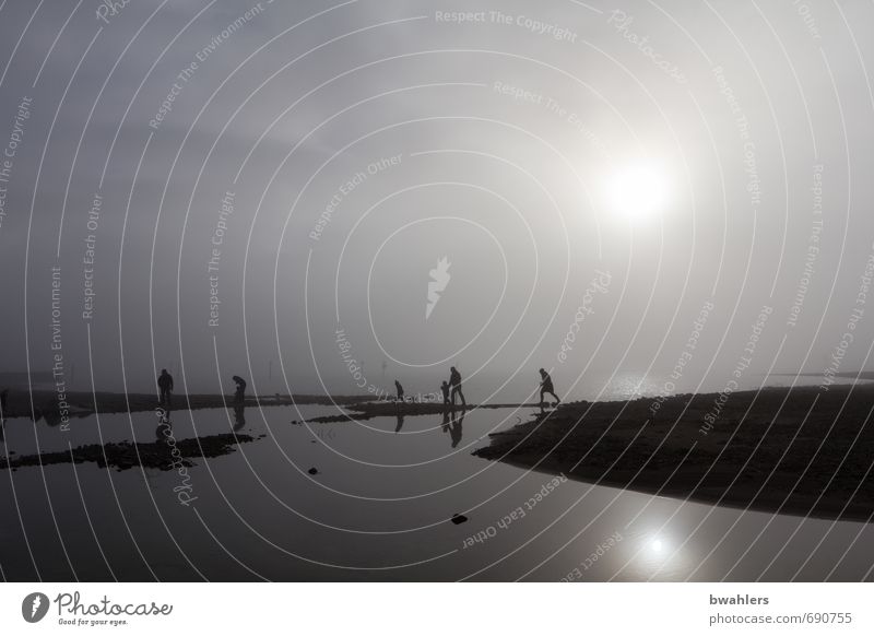 Nebel-Wanderer Mensch 6 Menschengruppe Natur Landschaft Wasser Winter Küste Seeufer Bodensee bedrohlich grau schwarz silber Insel Gedeckte Farben Außenaufnahme