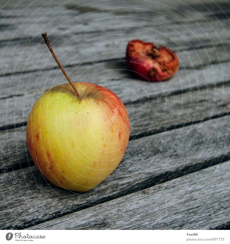wie die Zeit vergeht Lebensmittel Apfel Trockenfrüchte Bioprodukte Vegetarische Ernährung Holz alt fest frisch Gesundheit lecker rund trocken gelb grau rot