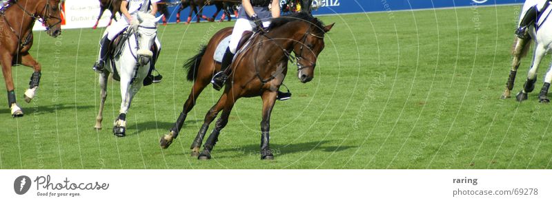 Schräglage Weltmeisterschaft Pferd Aachen weltreiterspiele Reitsport eröffnungsfeier Bewegung Sport