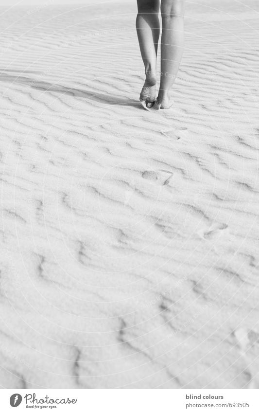 en avant Kunst ästhetisch Zufriedenheit vorwärts Schwarzweißfoto Beine Frauenbein Barfuß dezent laufen Spuren Wüste Fuß ruhig Bewegung Einsamkeit Freiraum