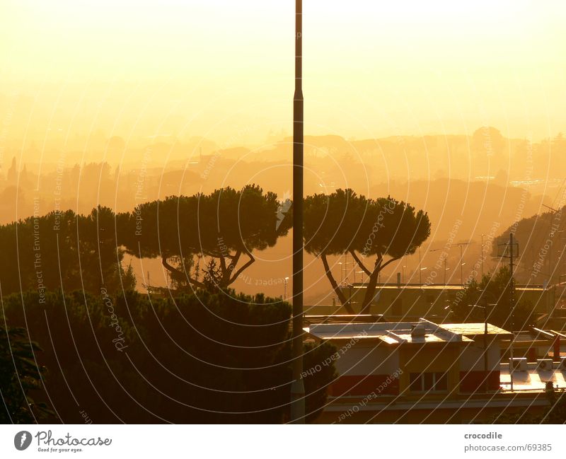 abendsonne Baum Sonnenuntergang Haus Italien Unschärfe Nebel unklar Antenne gegnlicht