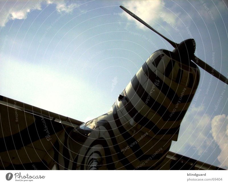Flieger, grüß mir die Sonne Flugzeug Propeller Afrika Zebra Tragfläche Notlandung Erkundung Vogelperspektive Ferien & Urlaub & Reisen Freizeit & Hobby klein