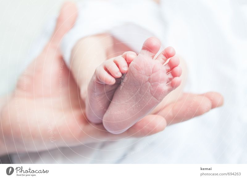 Bodenständig | Bald Baby Familie & Verwandtschaft Leben Hand Fuß Fußsohle Zehen 0-12 Monate frisch hell klein niedlich rosa weiß Gefühle Vertrauen Geborgenheit