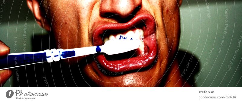 putztag Reinigen weiß Sauberkeit Zahnpflege aufstehen Bad Bürste Morgen Lippen Zähne