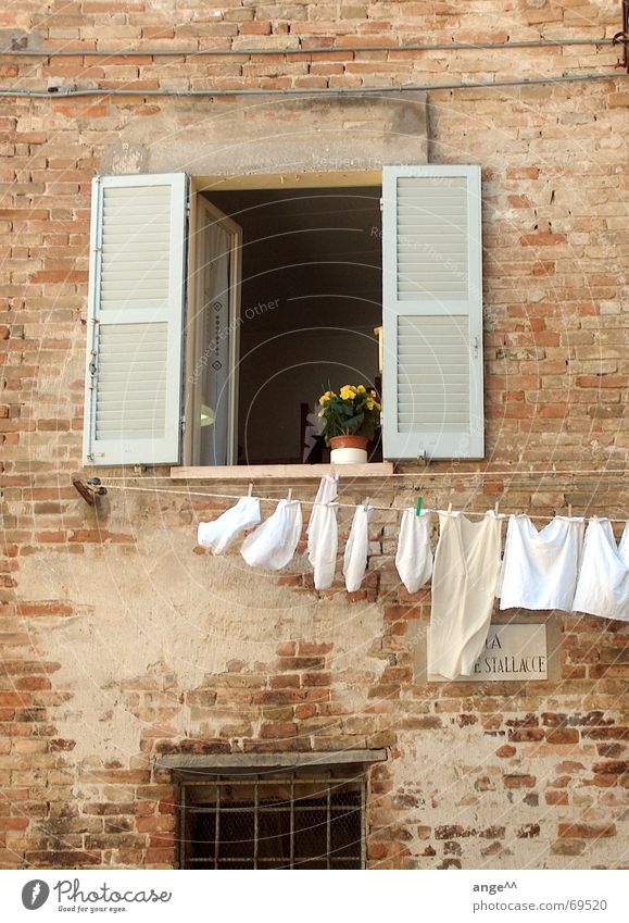 Schönes Italien Fenster Wäsche Wäscheleine Blume Haus Stadt gemütlich Stadtleben offenes fenster altes haus altes mauerwerk