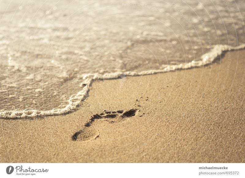 Beach footprint harmonisch ruhig Ferien & Urlaub & Reisen Freiheit Sommer Strand Meer Natur Sand Wasser Fußspur hell gelb gold Stimmung Lebewesen bright calm