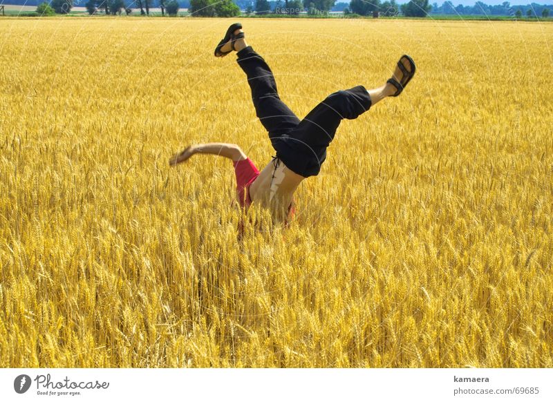 Cornfreeze Feld Handstand Breakdancer Kornfeld Lebensfreude beweglich Geschwindigkeit breaking fun sportlich