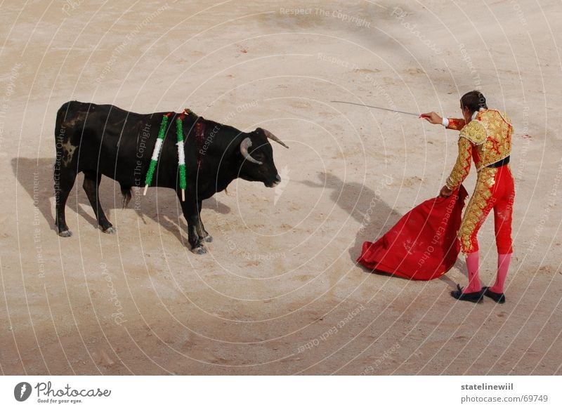 dolchstosslegende Stierkampf Bulle Stierkämpfer rot Spanien Frankreich Arles Stadion Tradition Provence brutal stark Rind Mut gefährlich Außenaufnahme töten