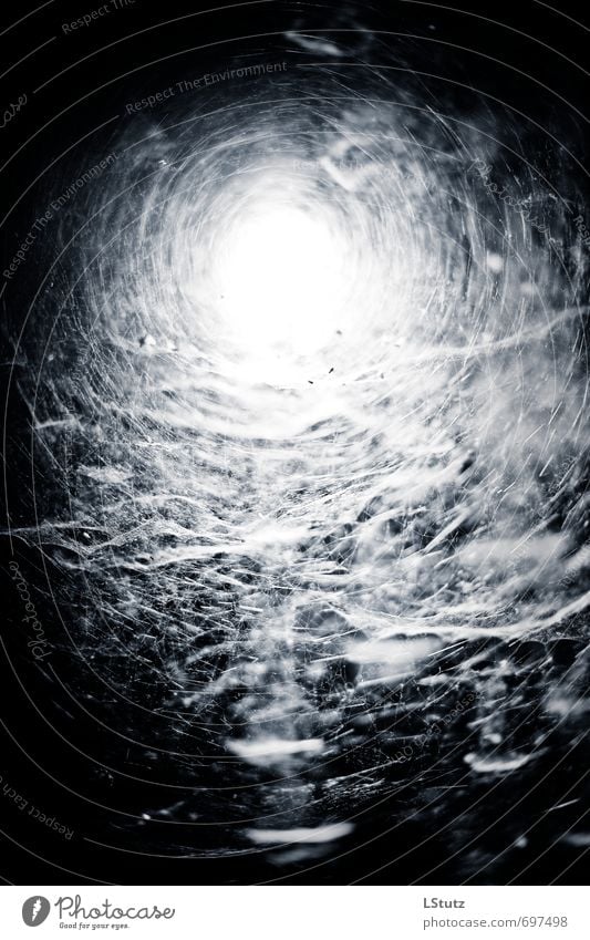 spiders web . 01 Natur Spinne ästhetisch bedrohlich dunkel gruselig kalt blau schwarz weiß Angst Todesangst gefährlich bizarr Surrealismus Symmetrie Spinnennetz