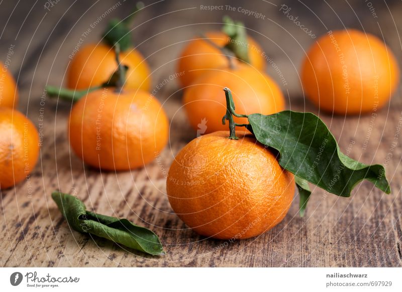 Frische Mandarinen Lebensmittel Frucht Orange Bioprodukte Vegetarische Ernährung Diät Blatt Duft Essen genießen frisch saftig viele grün rot Genusssucht Kraft