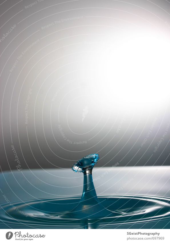 Der Aufprall Trinkwasser Wasser Wassertropfen Glück einzigartig Wellness Makroaufnahme Wasseroberfläche Farbfoto Nahaufnahme Detailaufnahme abstrakt